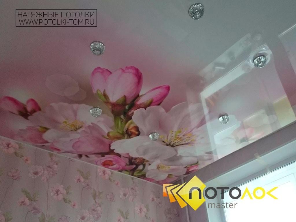 Натяжные потолки фотопечать фото 