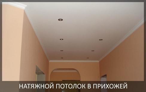Натяжные потолки в прихожей фото